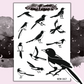 Magpie Birds - Mini Sticker Sheet